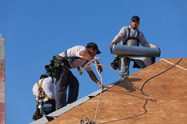 Best Roof Maintenance Services  in Crump, TN