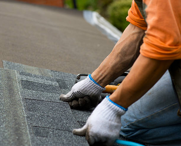 Best Roof Repair Services  in Crump, TN